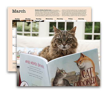 PAWS 2023 Calendar - PAWS